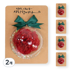 카네이션 쉐이커 카드만들기 크라프트카드, 2개, 꽃볼색상-레드 5세트