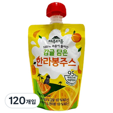 어니스틴 감귤 담은 한라봉 주스 물 타지 않은 제주산 착즙 주스 NFC주스 감귤 주스 어린이주스 학교간식 어린이집 간식 교회간식, 120개, 100ml