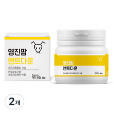 영진팜 앤트다운 개미과립 여왕개미까지 박멸 텃밭 마당 집개미 퇴치, 2개, 30g