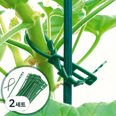 간편한 조절식 고정력 식물 타이 100P 세트, 2세트
