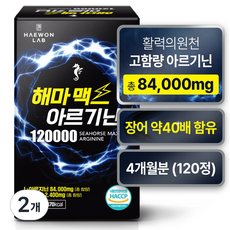 해원랩 해마 맥스 아르기닌 120000 120정, 2개
