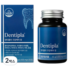 덴티플라 구강케어 정, 2박스, 30정