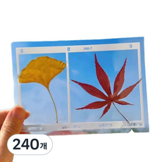 압화 책갈피 DIY 책갈피 드라이플라워 북마크, 240개, 포토월