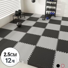 Kemei 두툼한 헬스 매트 2.5cm 홈짐 층간소음 바닥 매트 4P 냉기차단, 그레이, 12개