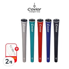 캐비어그립 엑스퍼트 V10 골프그립 교체용품 증정 Expert V10, 애쉬그레이, 2개