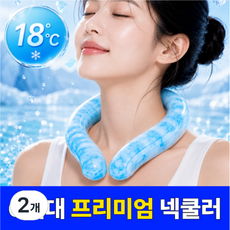 [12시까지 창고대방출] 고급형 아이스 넥쿨러 넥밴드, 2개, 아이스 블루 2개, 아이스 블루