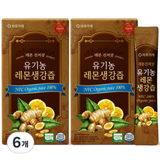 유기농 레몬생강즙 NFC 착즙 원액 스틱 자주가게, 6개, 210ml