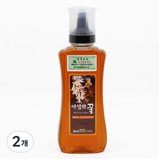 설악산허니팜 야생화꿀, 2개, 500g