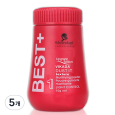 헤어볼륨 파우더 오일 컨트롤 떡진머리 헤어스타일링 뽀송헤어 유분, 5개, 10g