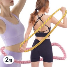 레오큐 무소음 용수철 뱃살 다이어트 스프링 훌라후프, 2개, 핑크, 1500g