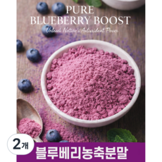 이번생은 블루베리농축분말 미국산 전통 블루베리 300g, 2개