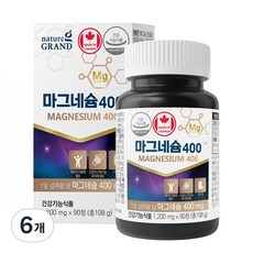 마그네슘 400 1 200mg, 6개, 90정