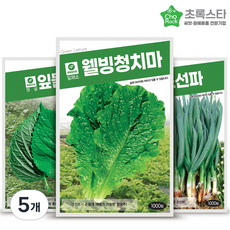 웰빙청치마 잎들깨 조선파 상추씨앗 3종세트, 5개