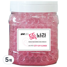 소셜마트 악취뚝 뚝놔라 강력 실내 화장실 담배냄새 제거 집안 방 홀애비 남자방 오래된집 냄새 제거 시티오브플라워, 1.2kg, 5개
