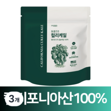 올플레인 캘리포니아 컬리케일 분말 동결건조 곱슬케일, 3개, 150g