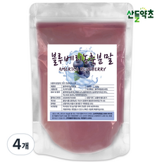 산들약초 블루베리농축분말 미국산 블루베리, 500g, 4개