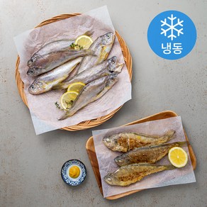 제주 참조기 10마리 (냉동), 700g