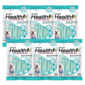 덴탈헬스 강아지 덴탈껌, 민트맛, 60g, 6개