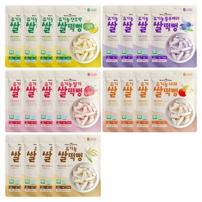 맛있는풍경 유기농 쌀떡뻥 5종 세트, 25g, 4세트