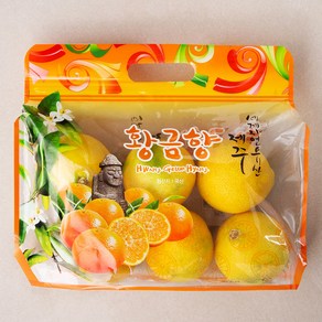 [로켓프레시] 탐라황감 서귀포 황금향, 1.2kg, 1개