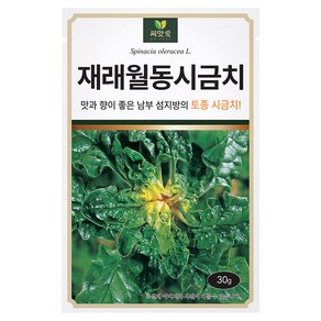 다농 재래월동 시금치 씨앗, 30g