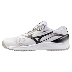 シューズ(男性用) ASICS COURT FF 3 28.5cm Mizuno 美津濃WAVE VOLTAGE 2 男排球鞋- 優惠推薦| Coupang 酷澎