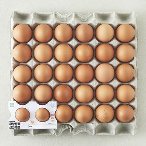 [로켓프레시] 무항생제 신선 특란, 1.8kg, 30구, 1개