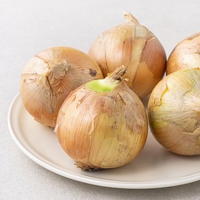 국내산 양파, 1kg(대), 1개