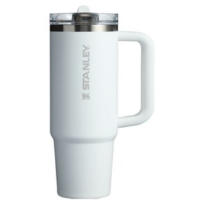 스탠리 퀜처 프로투어 플립스트로 텀블러, 887ml, 1개