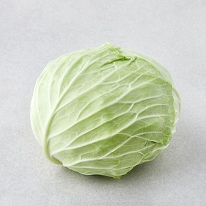 [로켓프레시] 작아도 맛있는 양배추, 800g, 1개입
