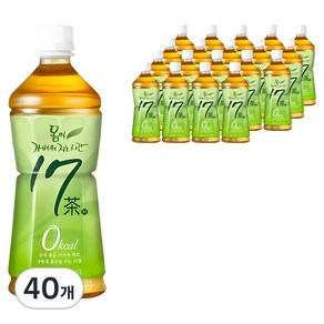 17차 몸이 가벼워지는 시간, 340ml, 40개