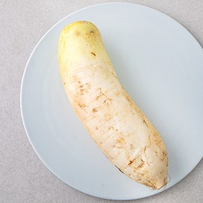 [로켓프레시] 작아도 맛있는 무, 600g, 1개입, 1입