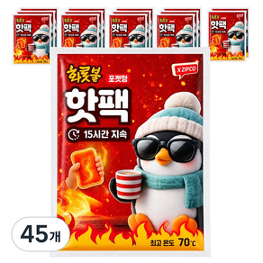 온종일화롯불 화롯불 포켓형 핫팩, 100g, 45개
