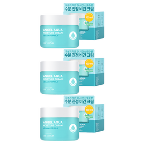 비욘드 엔젤 아쿠아 수분 진정 크림, 150ml, 3개