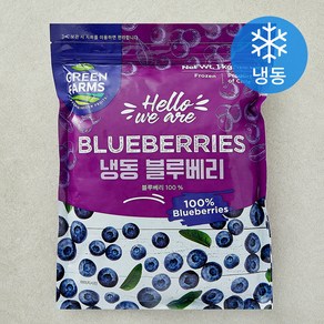 그린팜 칠레산 블루베리 (냉동), 1kg, 1개