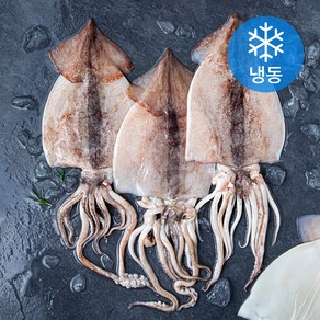 [로켓프레시] 오바다 국내산 손질 오징어 4미 (냉동), 700g(4미), 1개