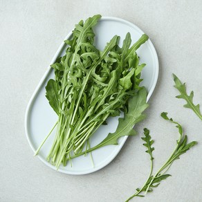 국내산 와일드 루꼴라, 30g, 1개