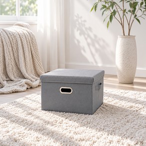 레토 접이식 패브릭 리빙박스, 그레이, 54L, 1개