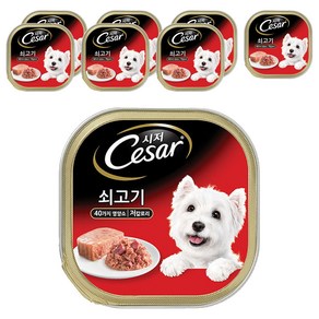 시저 1세 이상 어덜트 강아지 주식캔, 소, 100g, 8개