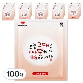 해피데이 포켓형 핫팩 100g, 100개