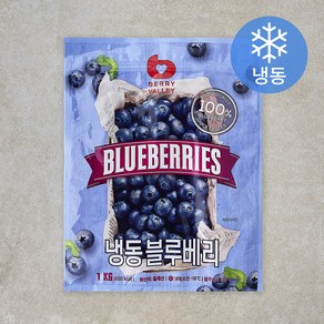 [로켓프레시] 베리밸리 칠레산 블루베리 (냉동), 1kg, 1개