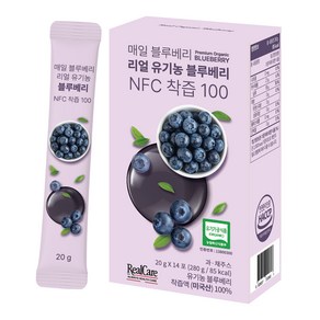 리얼케어 매일 블루베리 리얼 유기농 블루베리 NFC 착즙 100 14p, 280g, 1개