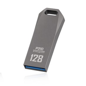 PLEIGO 코어 USB 3.2 Gen 1 메모리 P310, 128GB, 1개