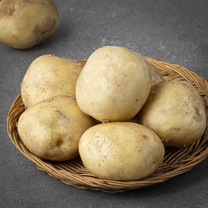 강원도 햇 감자, 1kg, 1개