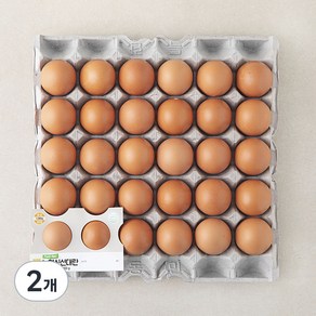 [로켓프레시] 신선 대란, 1560g, 30구, 2개