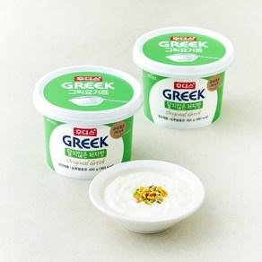 일동후디스 그릭 요거트 달지않은 저지방, 450g, 2개 - 요거트