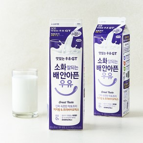 [로켓프레시] 남양유업 맛있는우유GT 소화 잘되는 배 안아픈 저지방 & 프리바이오틱스 우유, 900ml, 2개