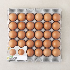 [로켓프레시] 신선 대란, 1560g