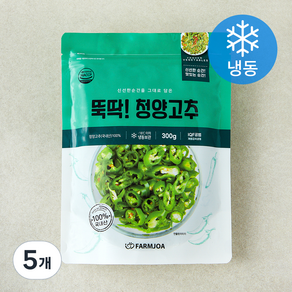 뚝딱! 청양고추 (냉동), 300g, 5개
