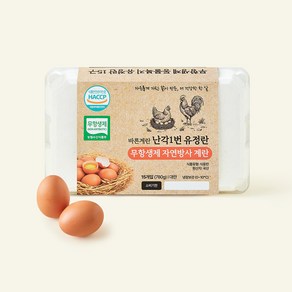 [로켓프레시] 무항생제 인증 바른계란 난각1번 유정란 자연방사 계란 대란